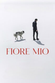 دانلود مستند Fiore Mio 2024 دانلود مستند Fiore Mio 2024