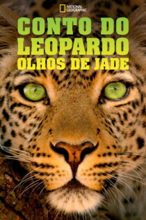 دانلود مستند Jade Eyed Leopard 2020 دانلود مستند Jade Eyed Leopard 2020