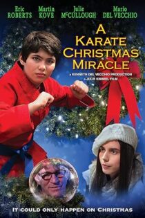 دانلود فیلم A Karate Christmas Miracle 2019 دانلود فیلم A Karate Christmas Miracle 2019