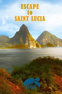 دانلود مستند Escape to Saint Lucia 2013